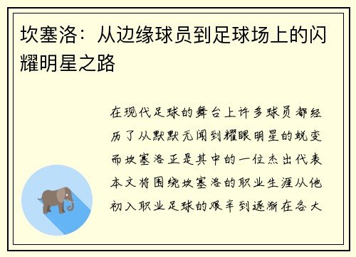 坎塞洛：从边缘球员到足球场上的闪耀明星之路