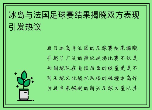 冰岛与法国足球赛结果揭晓双方表现引发热议
