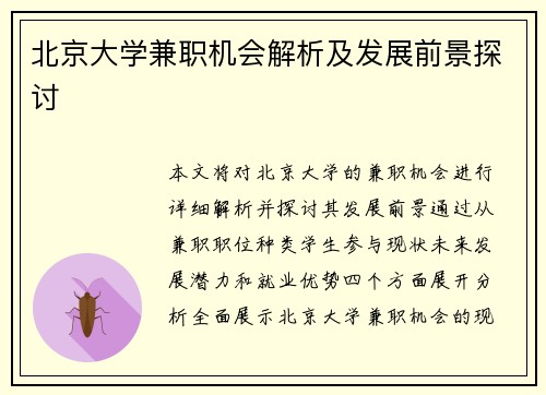 北京大学兼职机会解析及发展前景探讨
