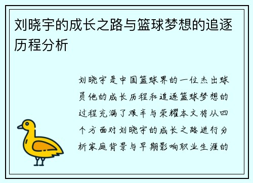 刘晓宇的成长之路与篮球梦想的追逐历程分析