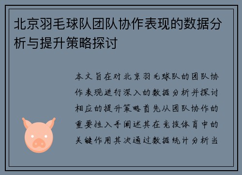 北京羽毛球队团队协作表现的数据分析与提升策略探讨